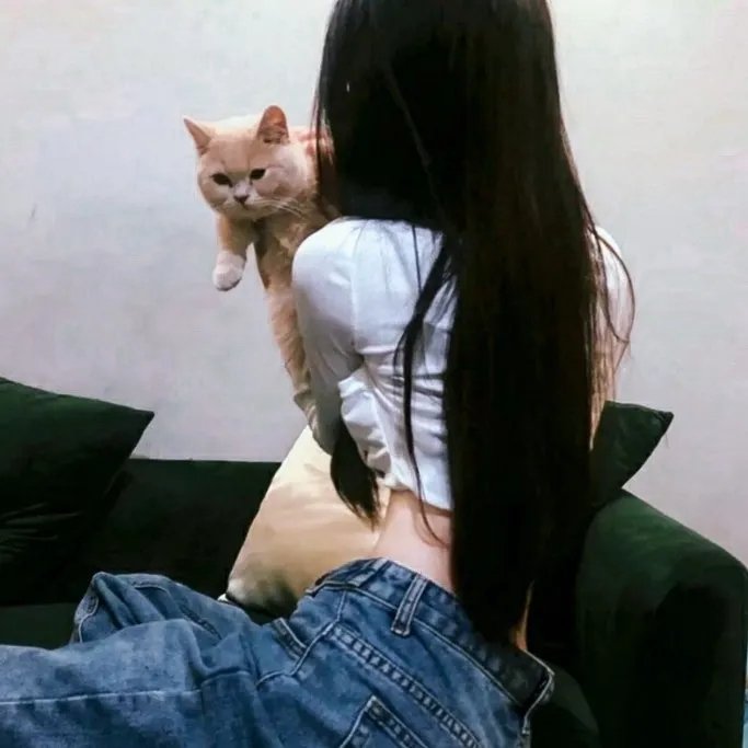 靓妹正传