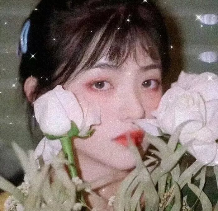 邪恶森林